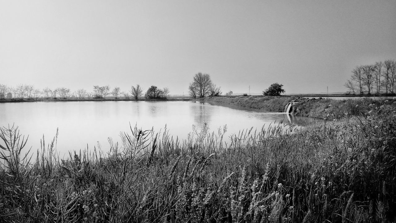 water, lake, nature, outdoors, sky, reflection, tree, no people, clear sky, day, bird, animal themes, wetland, animals in the wild, beauty in nature