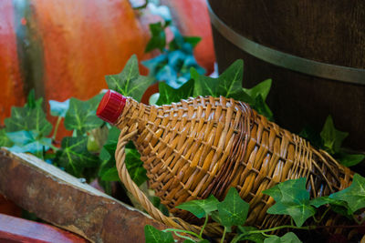 Close-up of fresh vegetables in basket