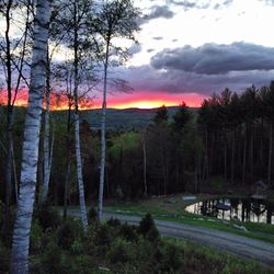 Scenic view of landscape at sunset