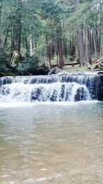 Scenic view of waterfall in forest