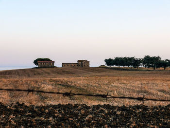 Scenic view of agricultural field against clear sky