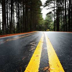 Empty road at forest