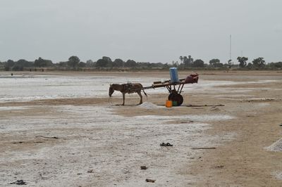 View of cart against sky