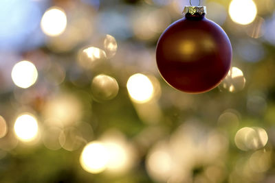 Close-up of illuminated christmas tree