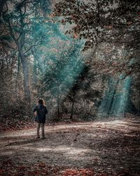 Rear view of man walking on road in forest