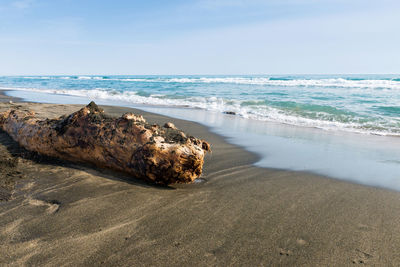 Scenic view of sea shore against sky