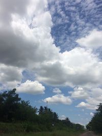 Low angle view of trees against sky
