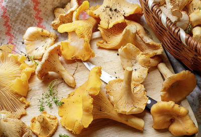 High angle view of mushrooms on table