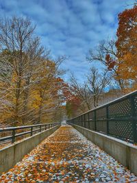 Bridge amidst trees against sky during autumn