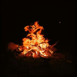 Close-up of fire at night