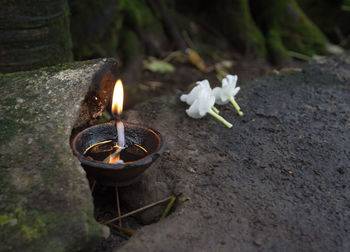 High angle view of oil lamp and flowers on rock