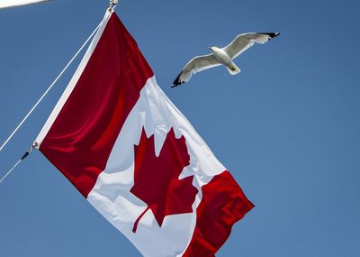 Low angle view of flag flying against clear sky