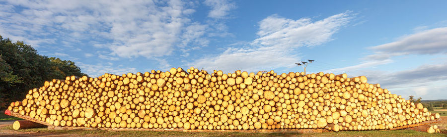 Low angle view of stack on field against sky