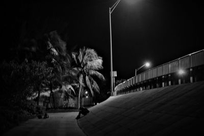 Road by trees against sky at night