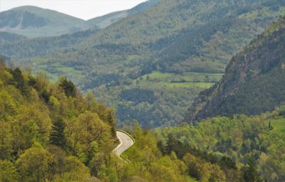 High angle view of trees and mountains