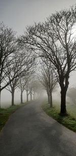 Road amidst bare trees against sky