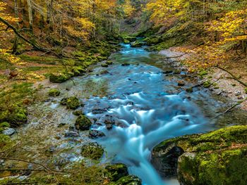 Stream flowing through rocks in forest