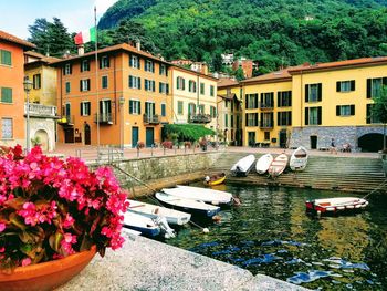 View of flowering plants by canal