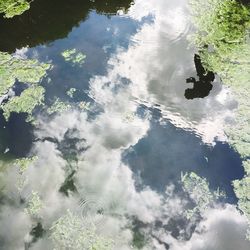 High angle view of ducks in lake