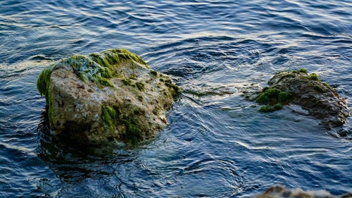 High angle view of rocks in sea