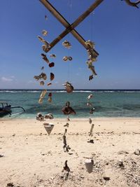 Birds flying over beach against clear blue sky