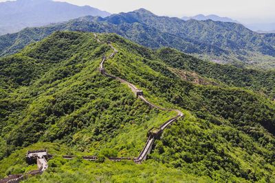 High angle view of trees on mountain