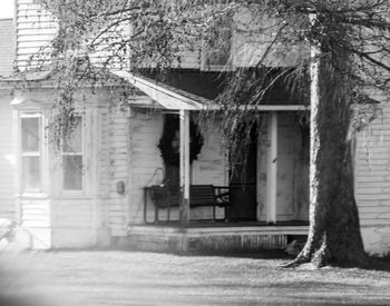 Bare trees in the house