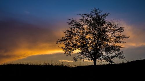 Silhouette tree on field against sky during sunset