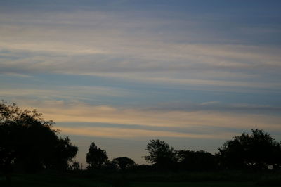 Silhouette trees against sky during sunset