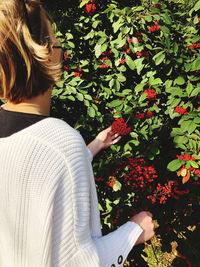 High angle view of woman holding flowers