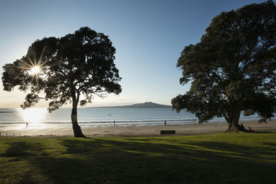 Trees on field by sea against sky