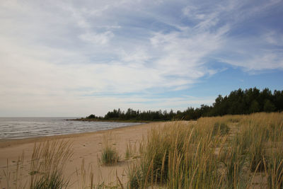 Scenic view of beach against sky