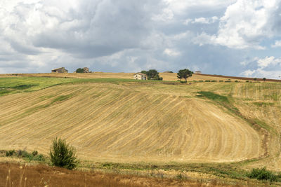 Scenic view of agricultural field against sky