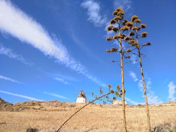 Barren landscape against blue sky and clouds