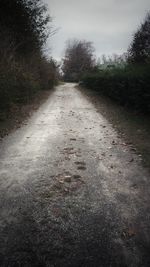 Road amidst trees against sky