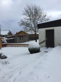 Snow covered houses and trees against sky