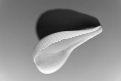 High angle view of leaf on table against white background