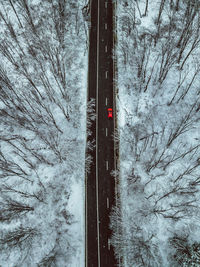 Road amidst snow covered trees in forest