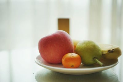 Fruits served on table at home