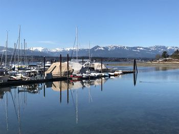 Sailboats moored at harbor