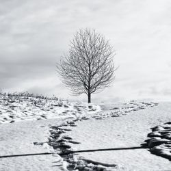 Bare tree on snow covered field against sky