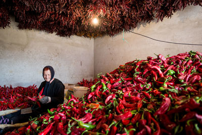 Portrait of man sitting on red flowering plant