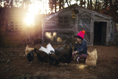 Girl looking at hens while sitting on field against house