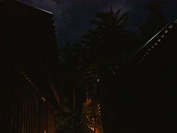 Low angle view of silhouette palm trees against sky at night