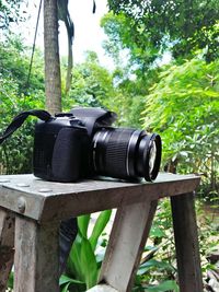 Close-up of camera on tree