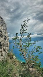 Scenic view of landscape against cloudy sky