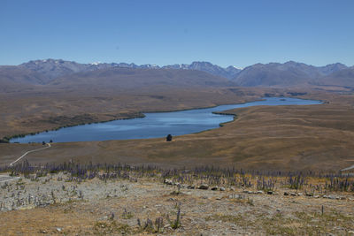 wilderness