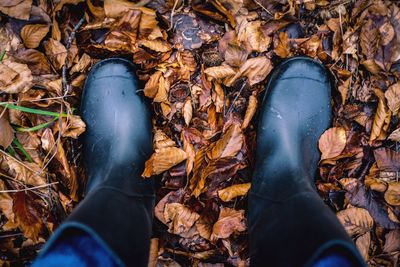 Low section of man standing on autumn leaves