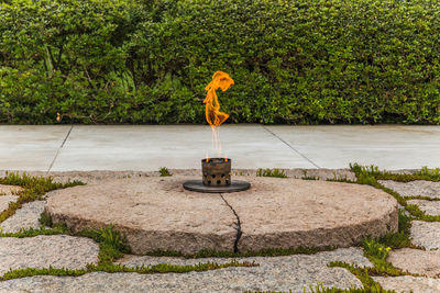 Flame on stone in yard