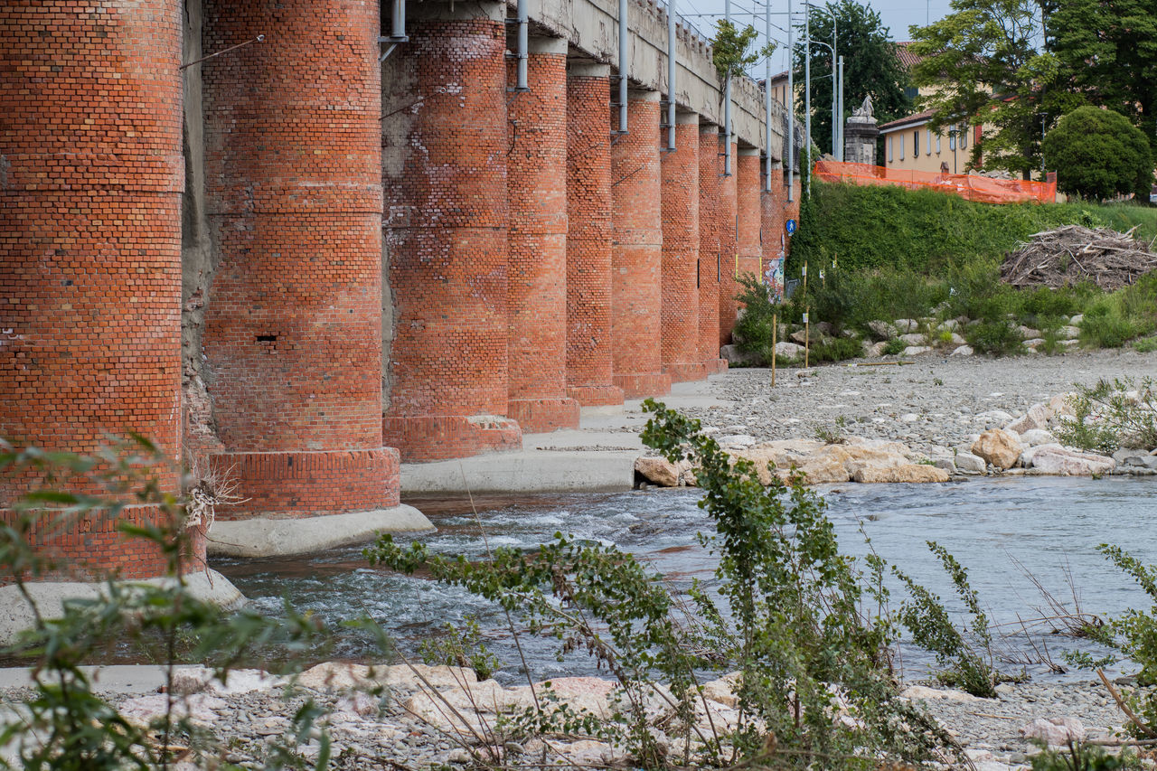 PLANTS GROWING BY OLD BUILDING